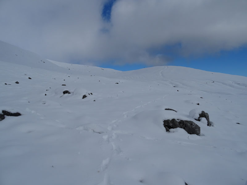 prime escursioni sulla neve....autunno  2019